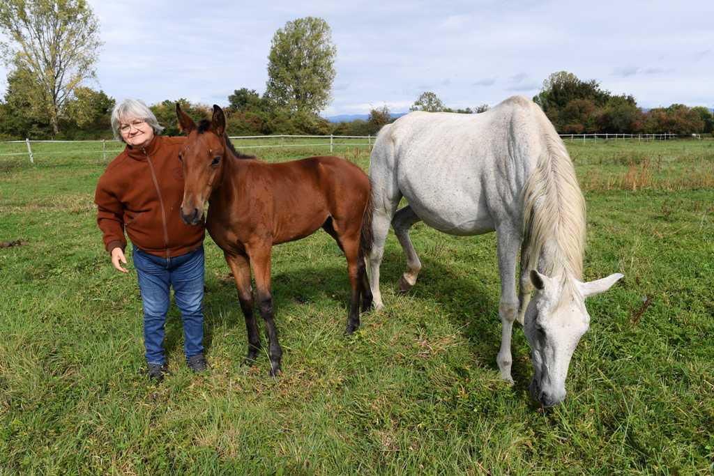 Aliette Dessaix et Pierre Bialkowski : « Il ne s’agit pas de prendre un étalon pour son nom » 