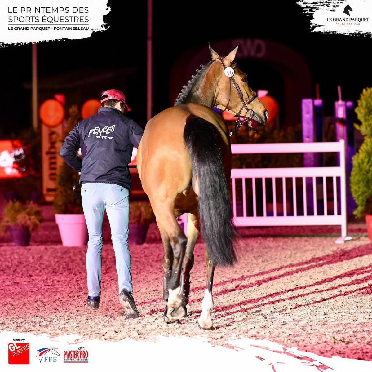 Ventes Fences : Treize jeunes chevaux, huit embryons et un top price à 250 000 euros au Printemps des sports équestres