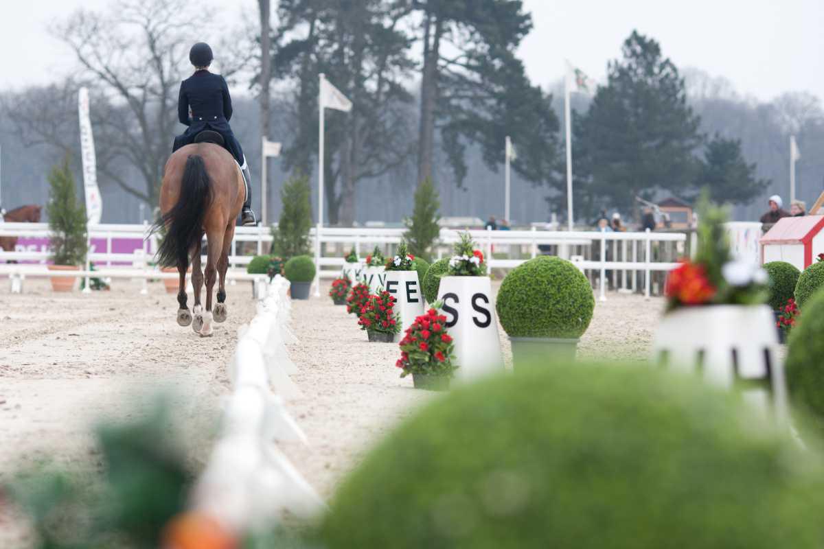 Changement de dates et de lieu pour les sélections tricolores en vue des championnats du monde Jeunes chevaux de dressage