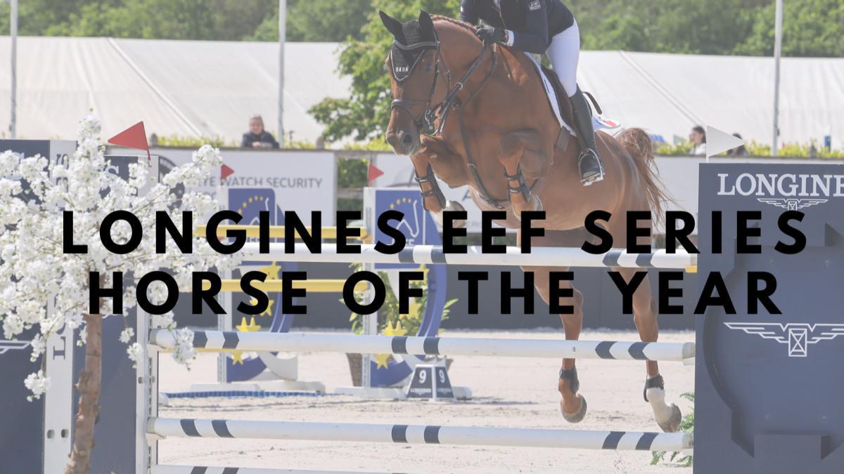 À vos votes pour élire le cheval de l'année du circuit Longines EEF Series