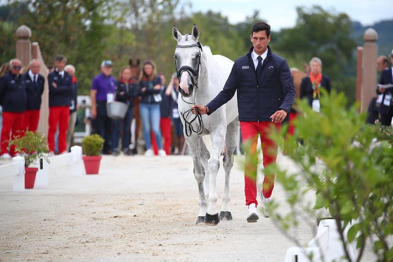Championnats d'Europe du Haras du Pin : Tous les chevaux présentés à la seconde inspection vétérinaire ont été acceptés
