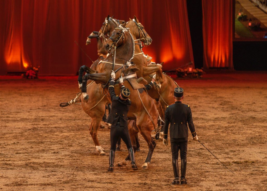 Événements et programmation 2023 au Cadre Noir de Saumur