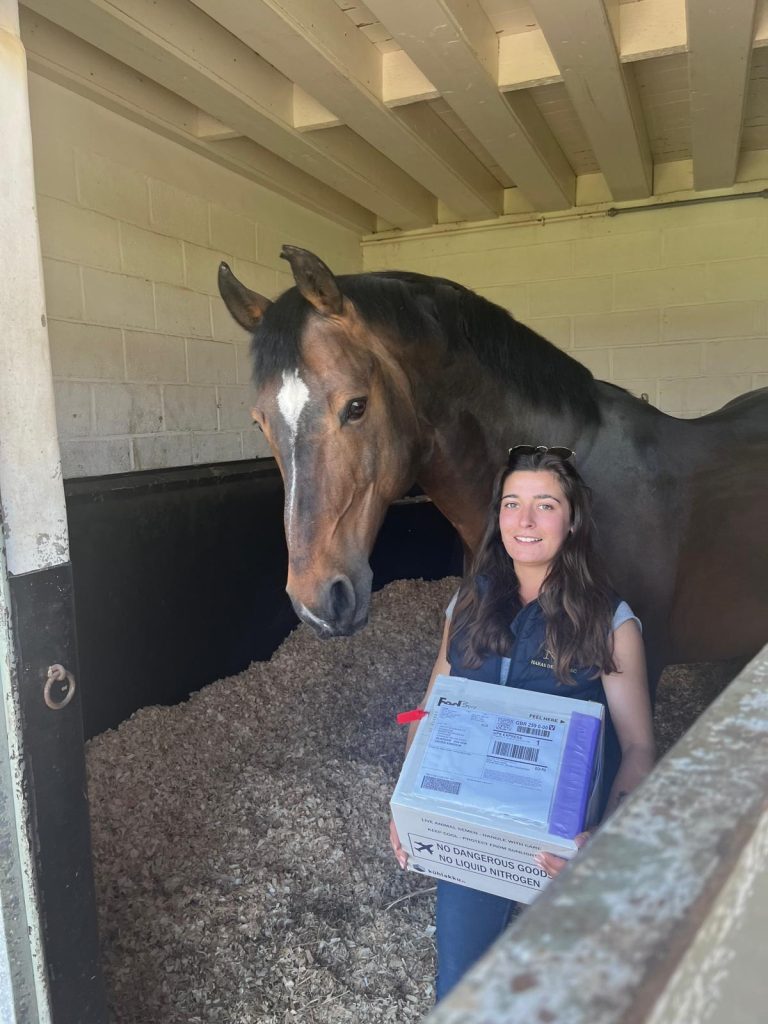 Les expéditions sont entourées de nombreuses précautions (photo : Haras de Clarbec)